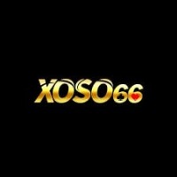 XO66ox net Avatar