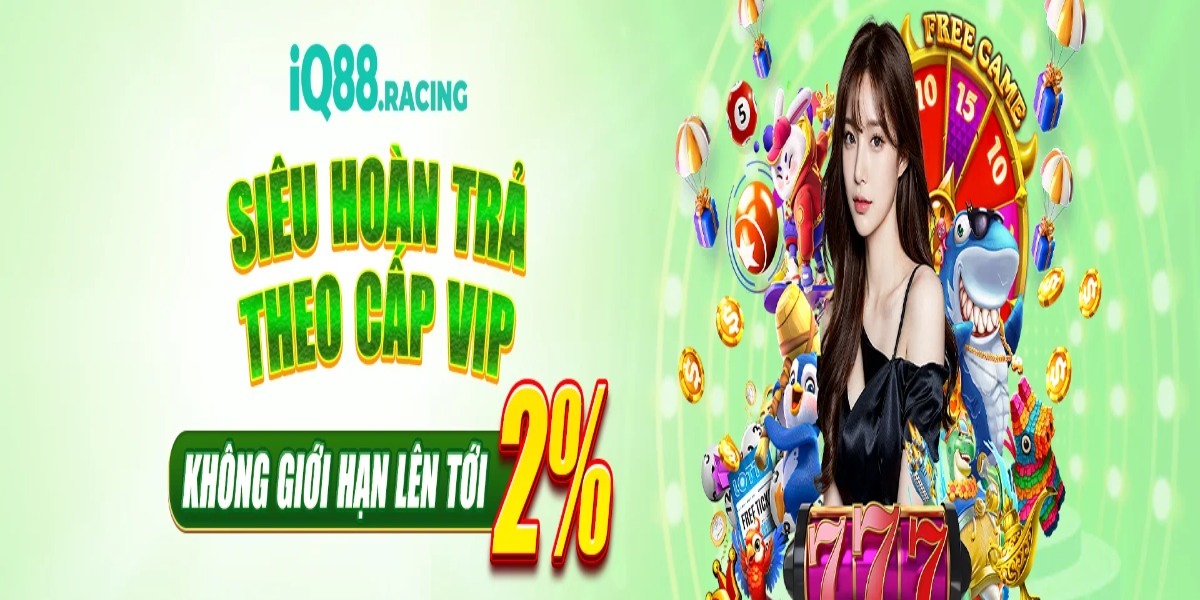 IQ88 racing Banner Image