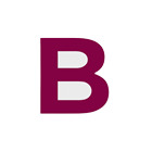 Birla Evara Avatar