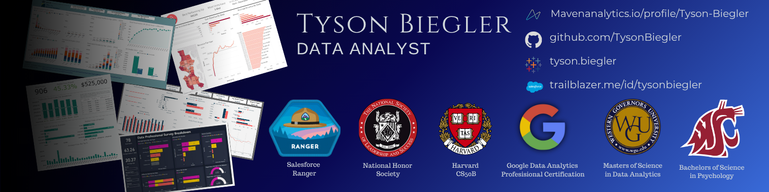 Tyson Biegler Banner Image