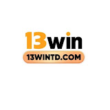13WIN tdcom Avatar