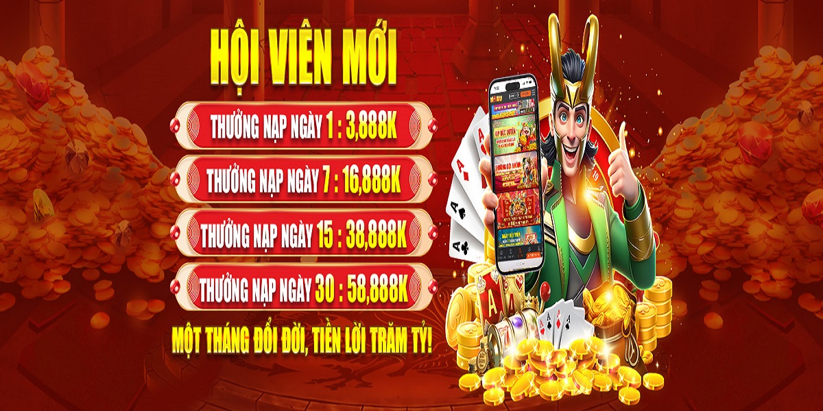 NO HU Banner Image